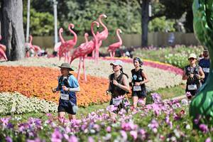 BIB: 
                            <button type="button" onclick="openModal(27793718)" class="btn btn-primary btn-sm float-right btn-popup" data-toggle="modal" data-target=".modal-high-quality">
                        <i class="fas fa-shopping-cart"></i> Add to Cart
                    </button>
                                            <button type="button" onclick="isThisMe(27793718, true)" class="btn btn-success btn-sm float-right btn-popup btn-isme hidden" data-toggle="tooltip" data-placement="bottom" title="นี่คือรูปของคุณใช่ไหม คลิกที่นี่เพื่อเอาเข้าอัลบั้ม">
                        <i class="fas fa-plus"></i> Add to album
                    </button>
                    <button type="button" onclick="isThisMe(27793718, false)" class="btn btn-warning btn-sm float-right btn-popup btn-isnotme hidden">
                        <i class="fas fa-ban"></i> Remove from album
                    </button>